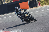 Lower Group Black Bikes